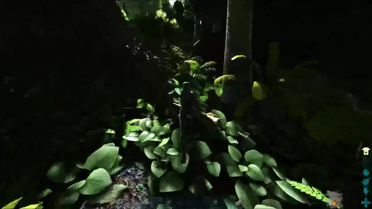 蛋贩子来咯~ 第7段