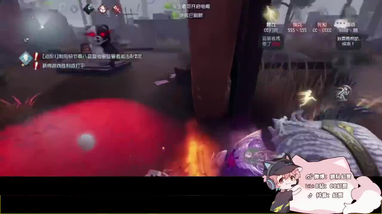纯纯的鹌鹑 第1段