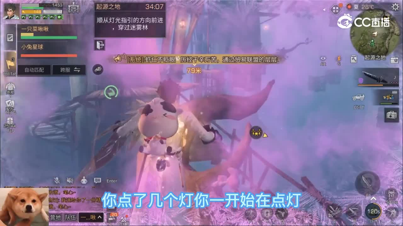 大扑棱蛾子2