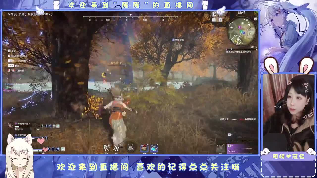 ..... 第11段