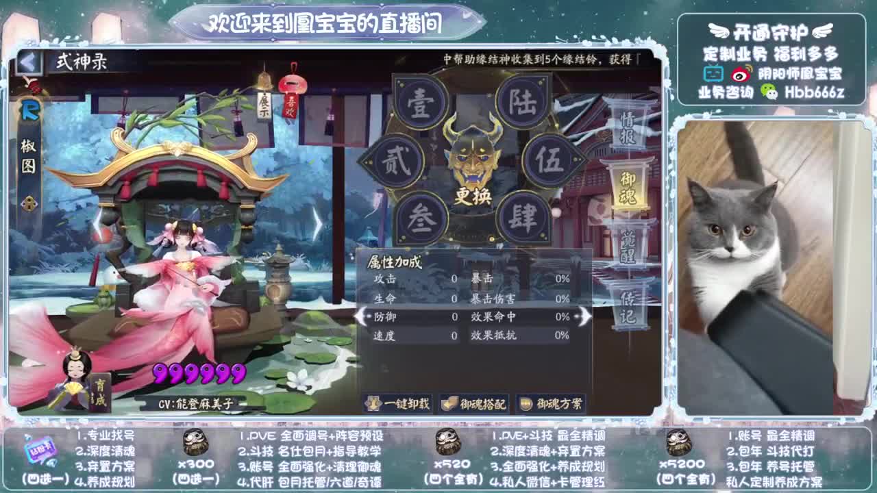 寄术主播在线接单~代肝调号找号冲！ 第8段