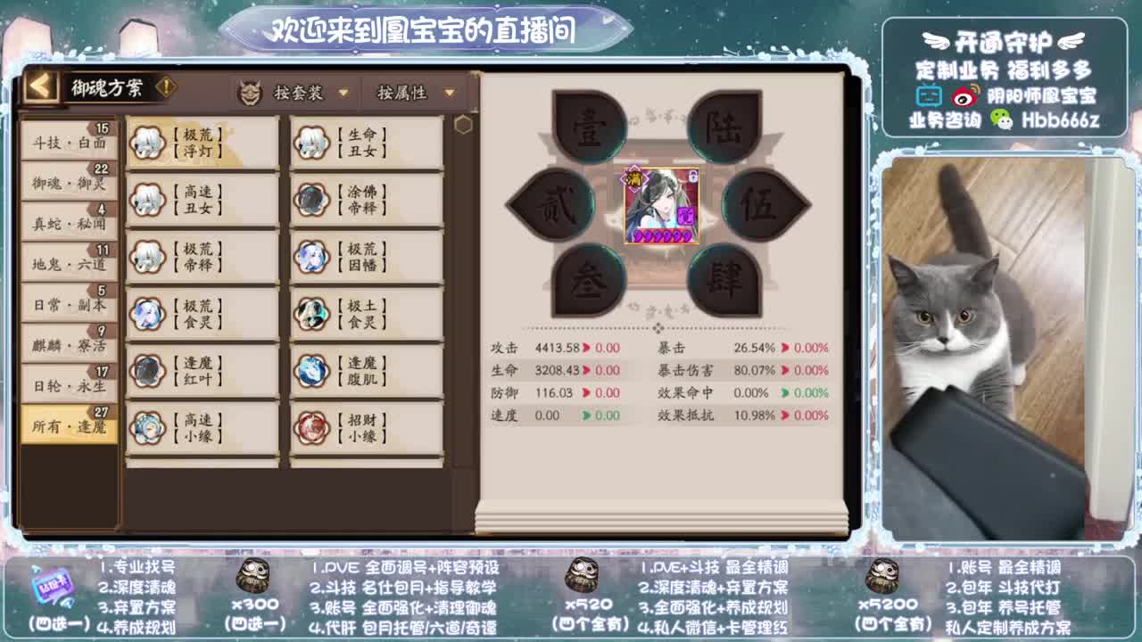 寄术主播在线接单~代肝调号找号冲！ 第9段