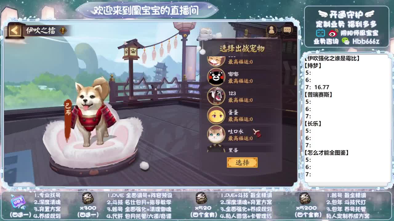寄术主播在线接单~代肝调号找号冲！ 第12段