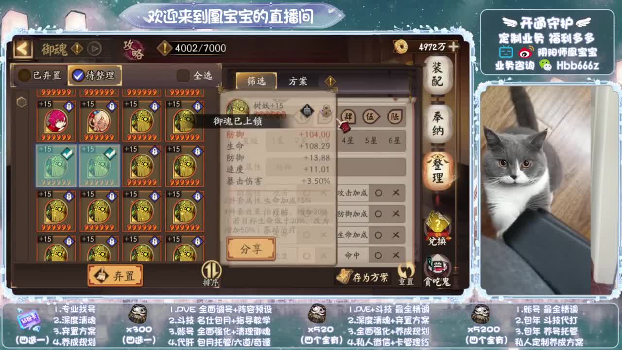 寄术主播在线接单~代肝调号找号冲！ 第14段