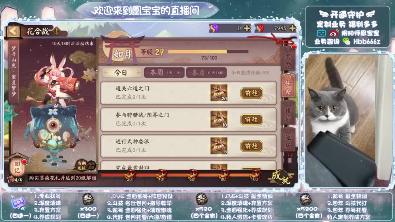 寄术主播在线接单~代肝调号找号冲！ 第1段