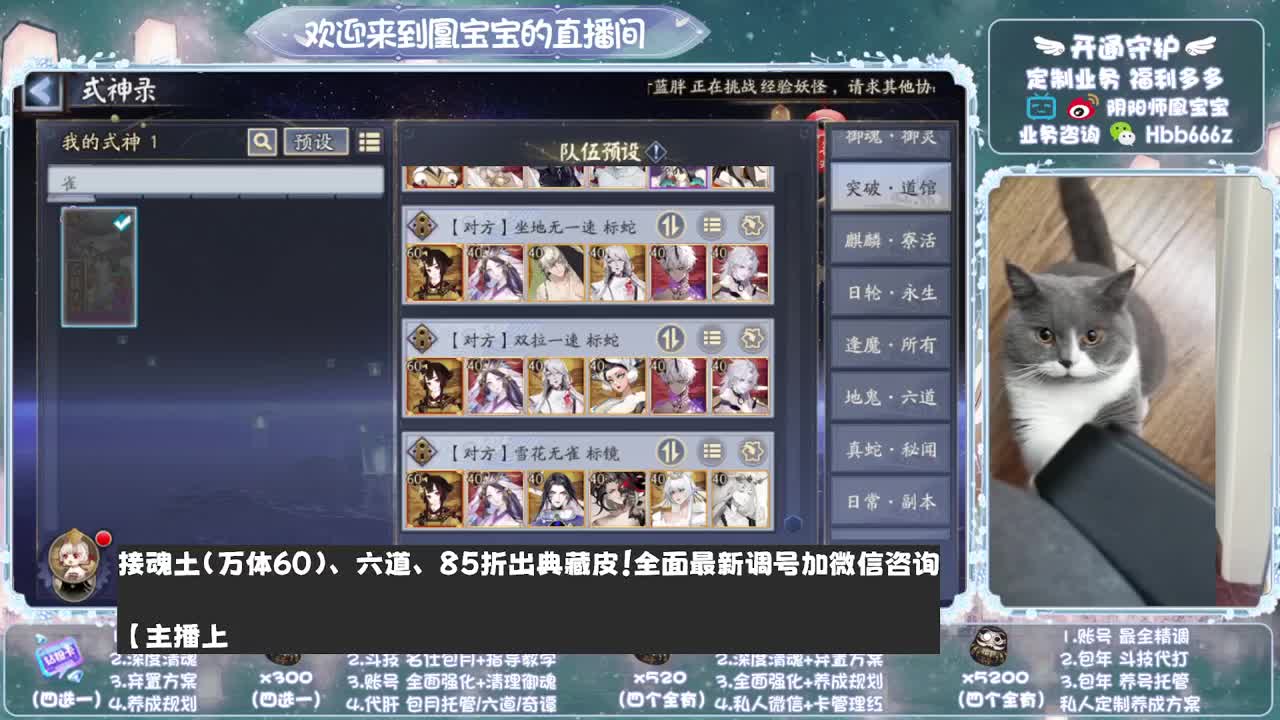 寄术主播在线接单~代肝调号找号冲！ 第4段