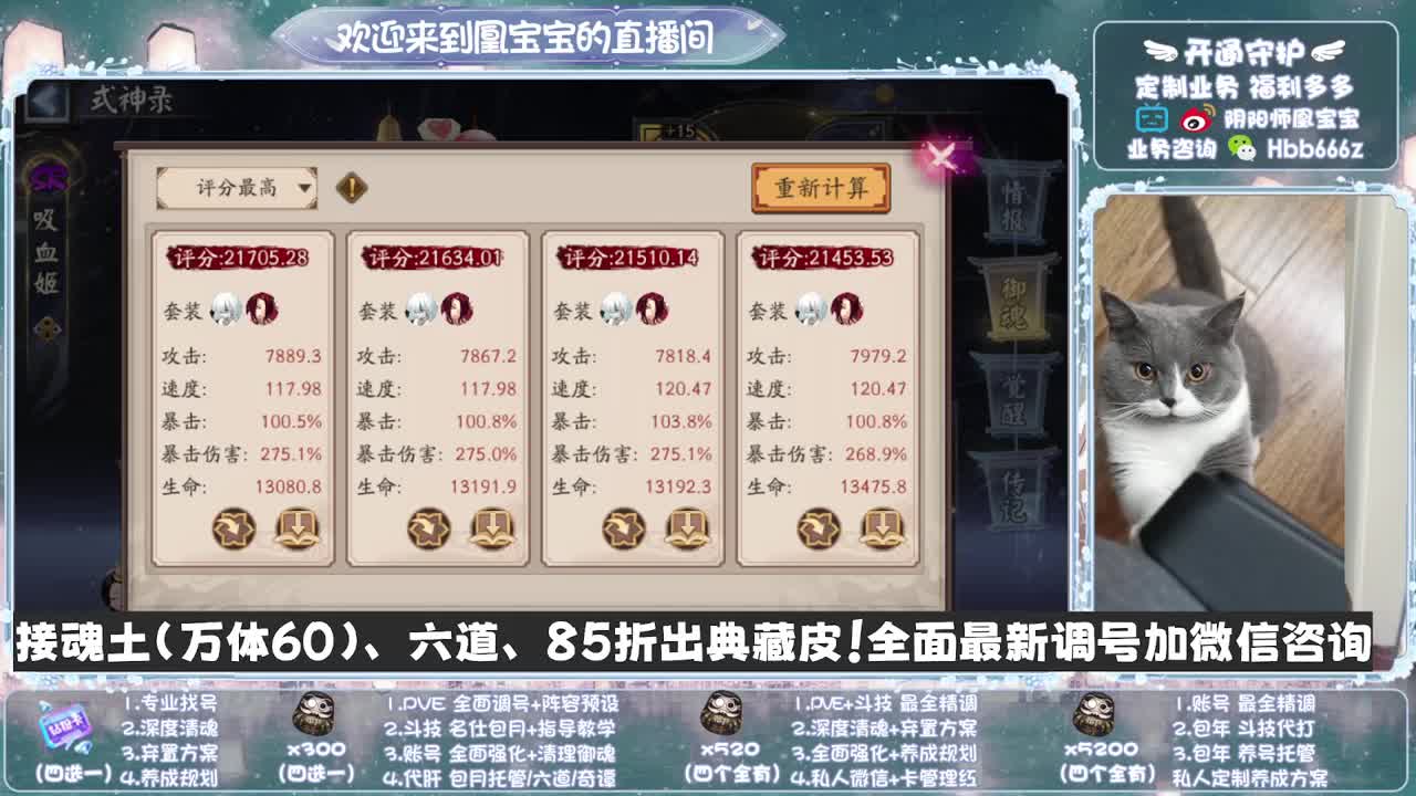 寄术主播在线接单~代肝调号找号冲！ 第6段