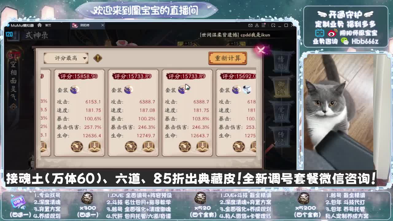 寄术主播在线接单~代肝调号找号冲！ 第11段