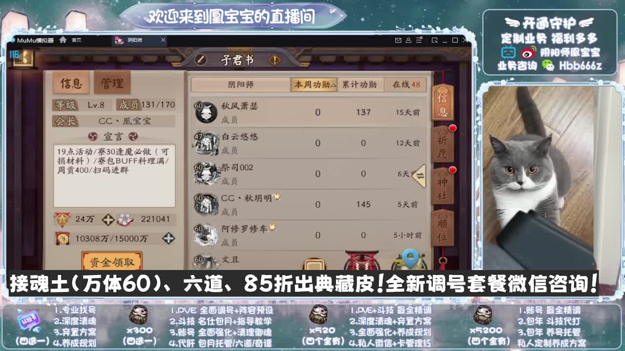 寄术主播在线接单~代肝调号找号冲！ 第12段