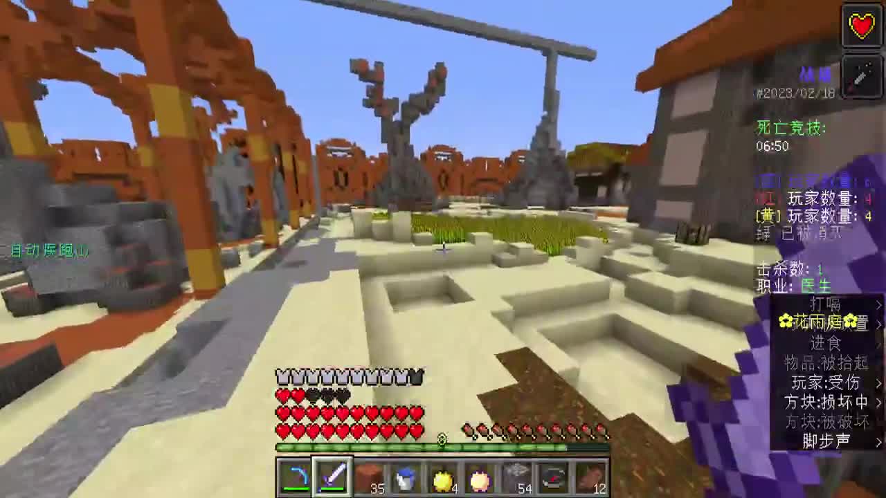 2D我的世界？ 第10段