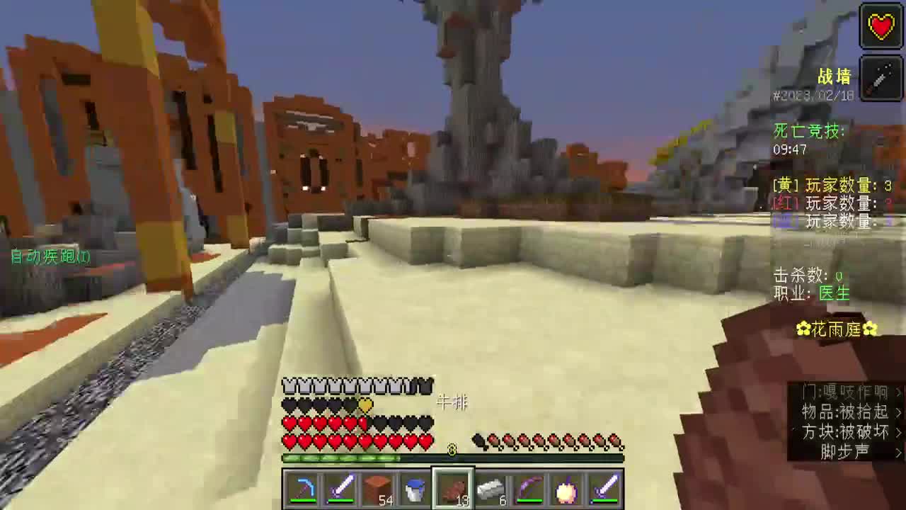 2D我的世界？ 第11段