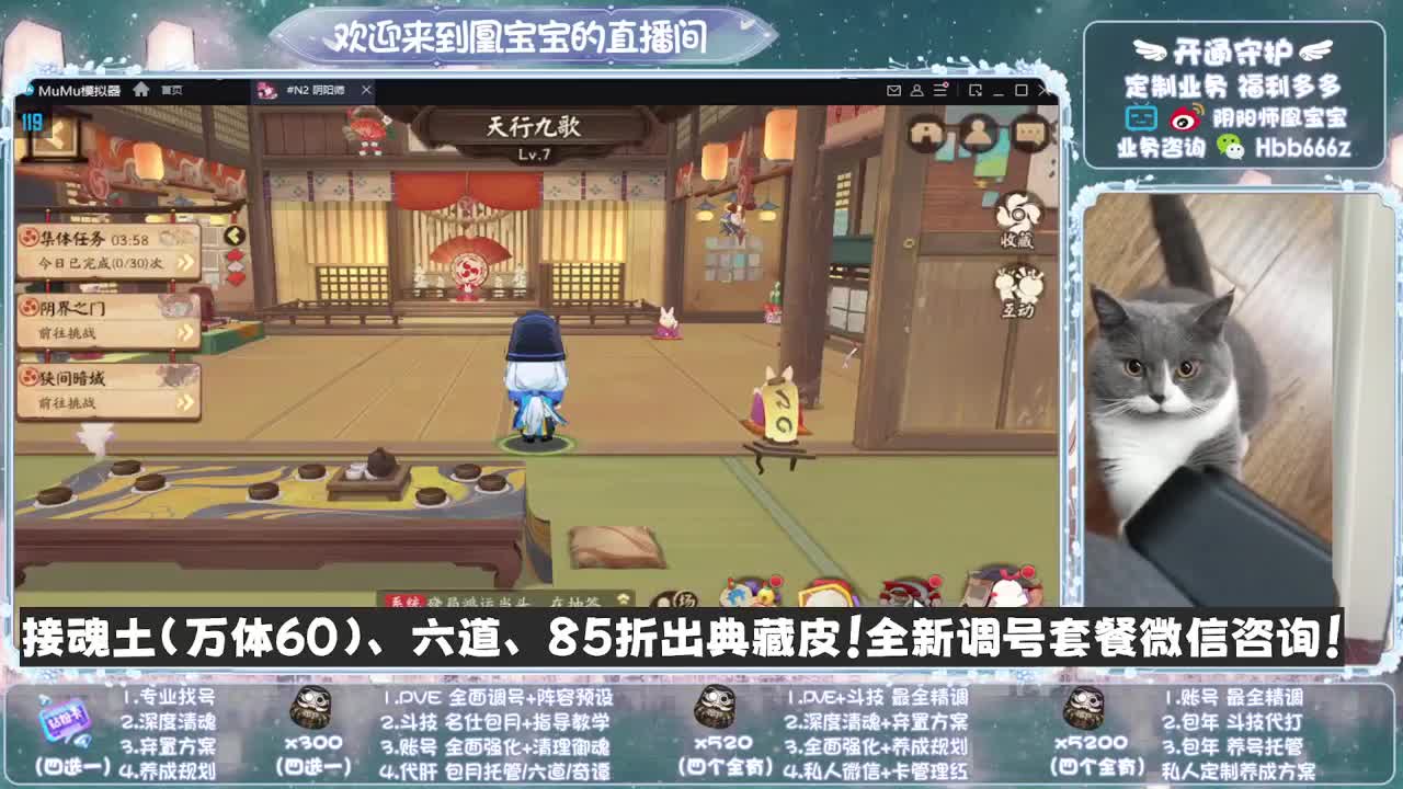 全天接单~代肝调号找号冲！ 第1段
