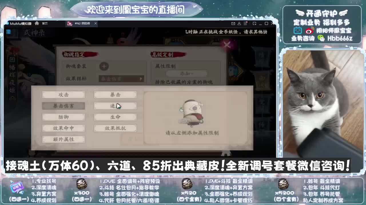 全天接单~代肝调号找号冲！ 第6段