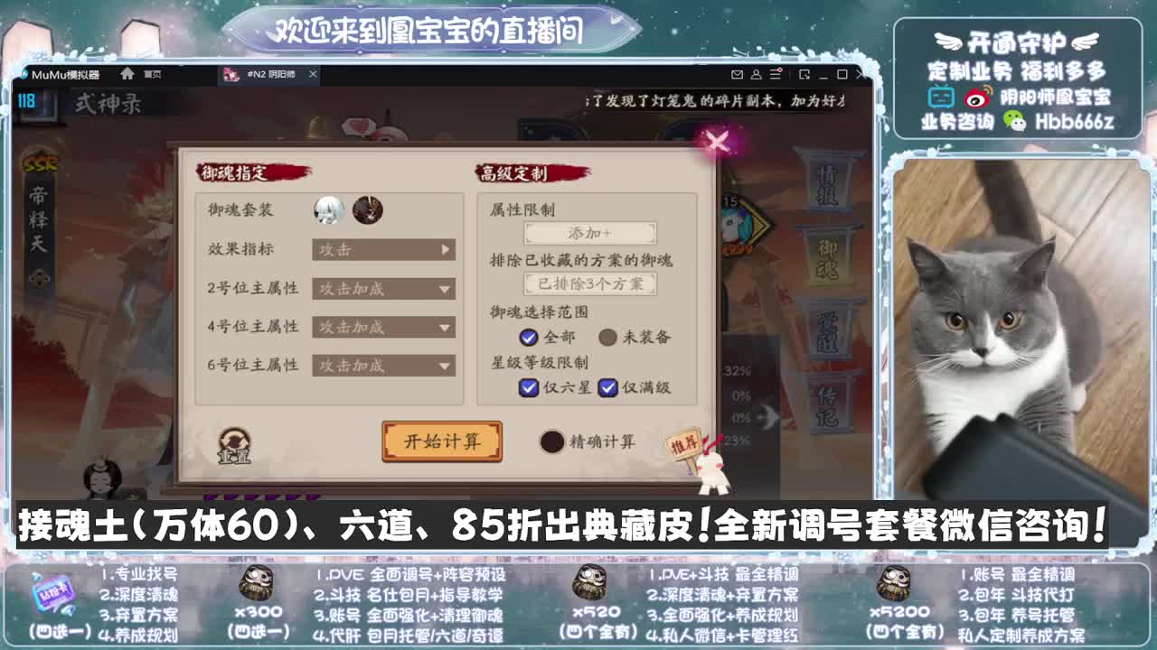 全天接单~代肝调号找号冲！ 第8段