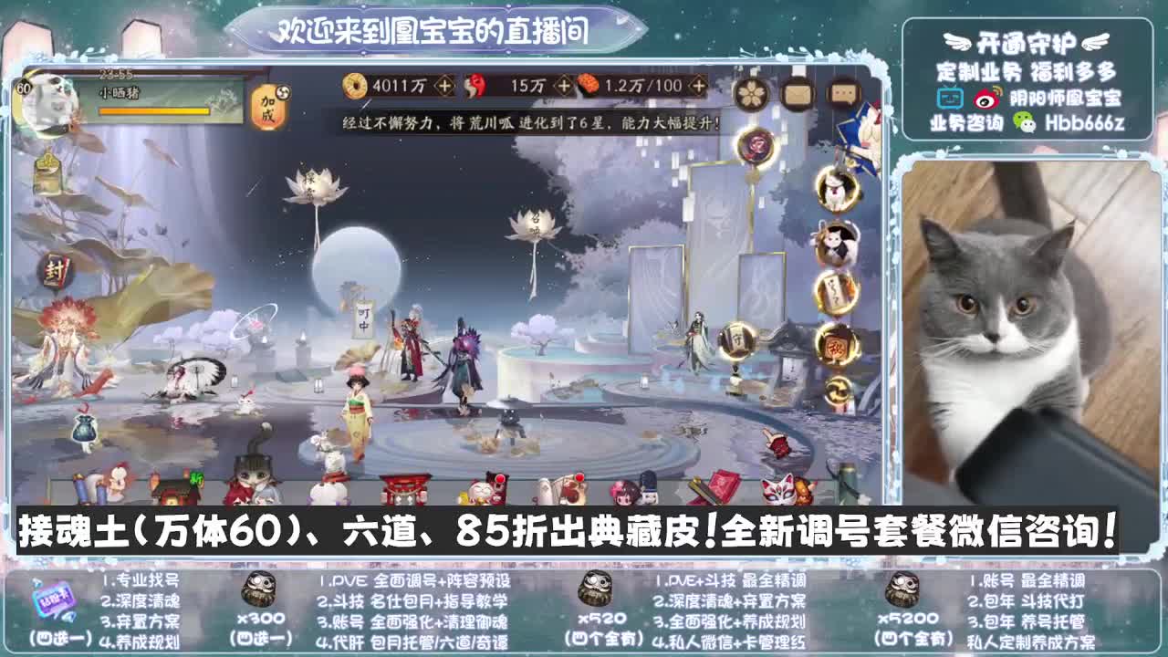 全天接单~代肝调号找号冲！ 第9段