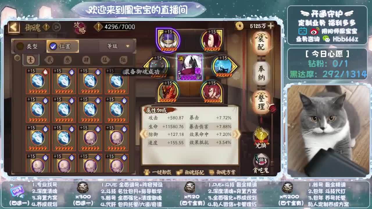 全天接单~代肝调号找号冲！ 第10段