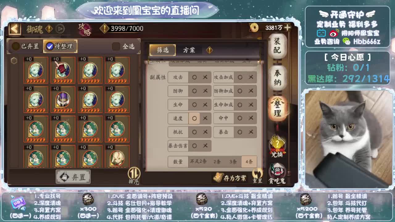 全天接单~代肝调号找号冲！ 第11段