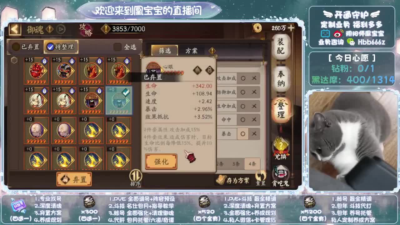 全天接单~代肝调号找号冲！ 第12段