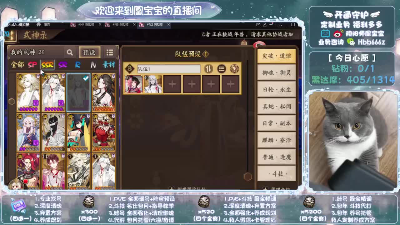 全天接单~代肝调号找号冲！ 第1段