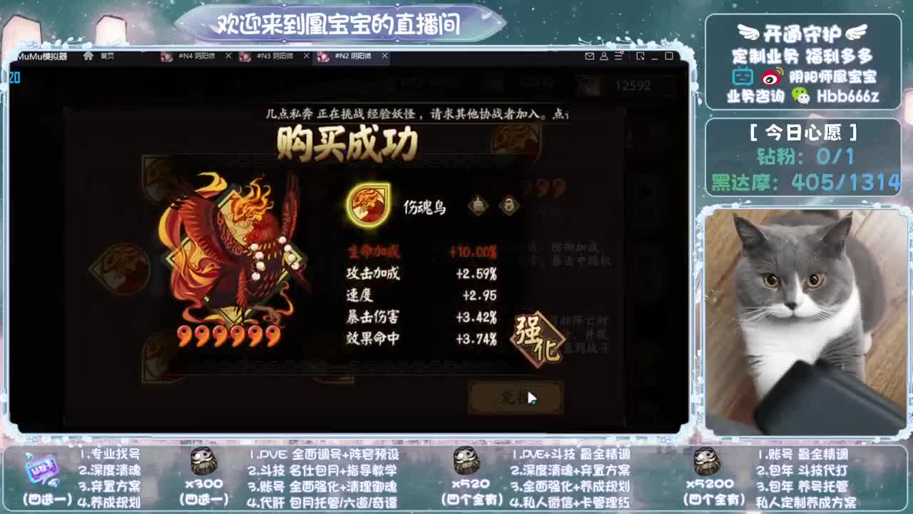 全天接单~代肝调号找号冲！ 第2段