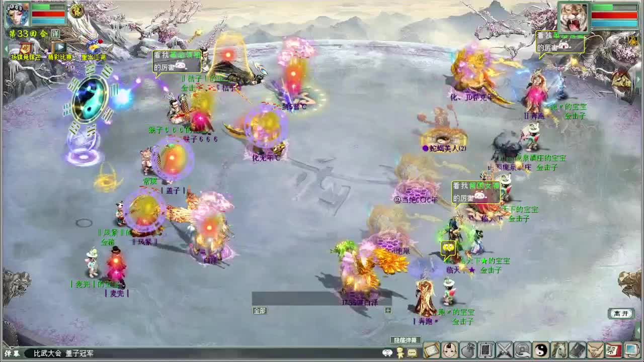 比武大会决赛 君临天下VS盖子 第12段