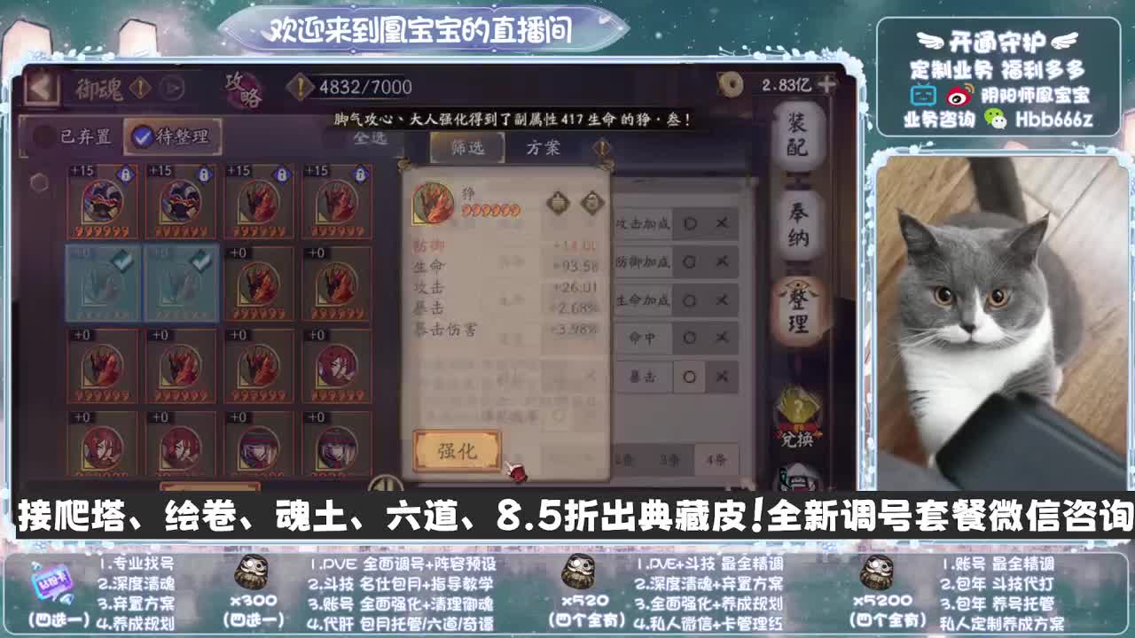 全天接单~❤ 找号/调号托管斗技 第1段