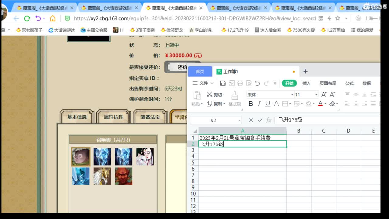 估价配装专业细心的主播 第6段