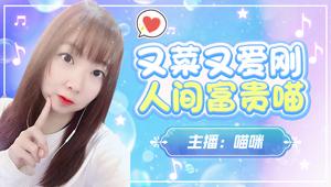 金戈招固定队友