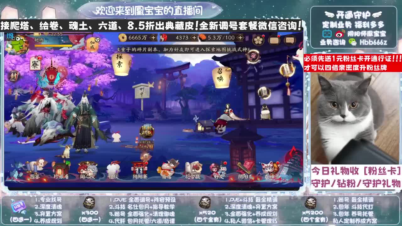 【四倍亲密】接爬塔/调号/找号/斗技/托