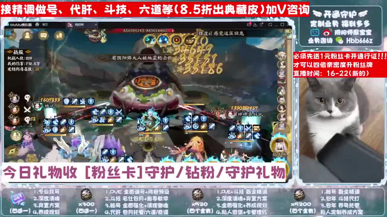 全天接单！全面调号/找号规划/托管斗技/ 第3段