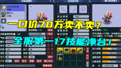 梦幻西游：一口价70万卖不卖？全服第一17技能净台诞生，真暴力！