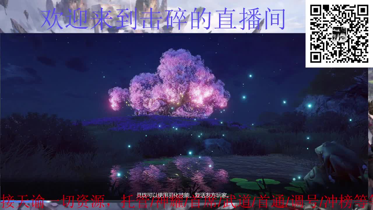 接托管 神耀 首席 武道 首通 第5段