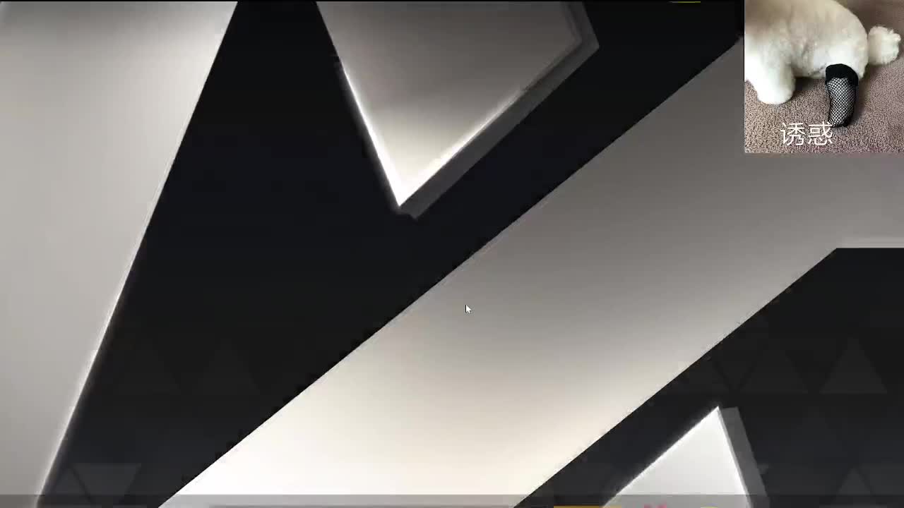 话多 第1段