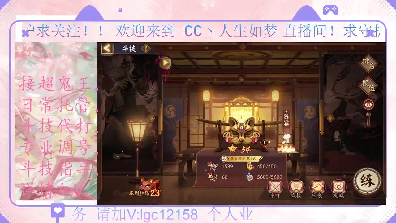 打打斗技、接调号斗技托管 第1段