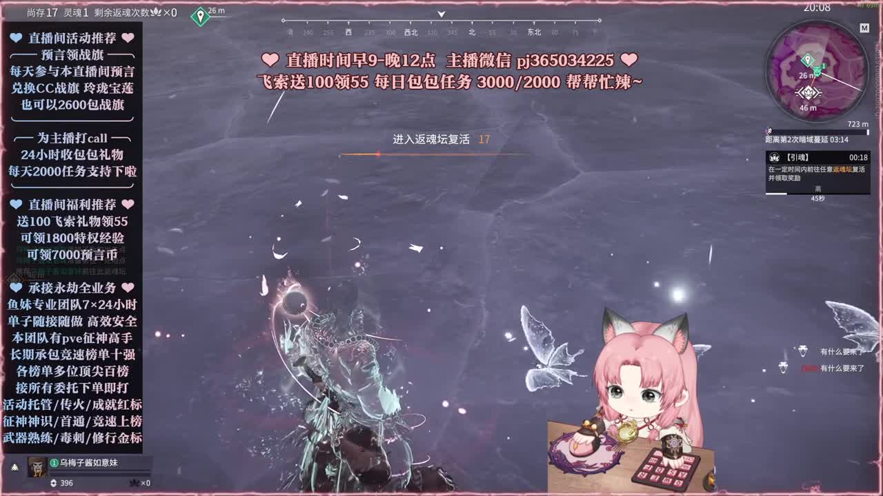 接账号托管，什么单都能打 第3段