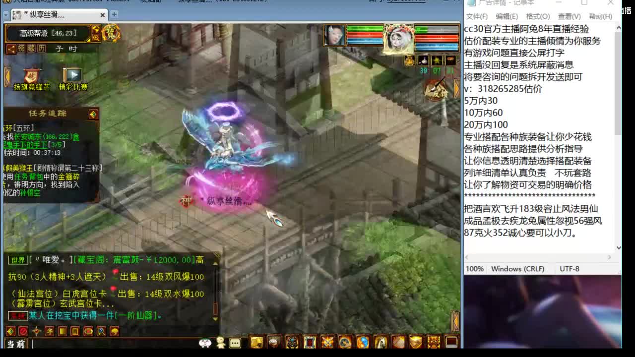 估价配装细心专业的主播 第8段