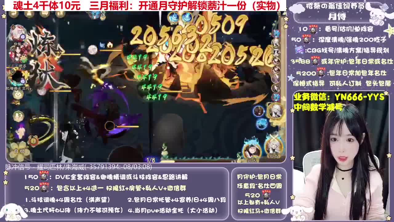 全新预设|账号托管|代肝 第2段