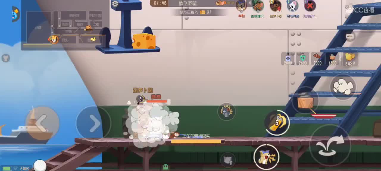 猫天梯——剑指猫皇 第4段