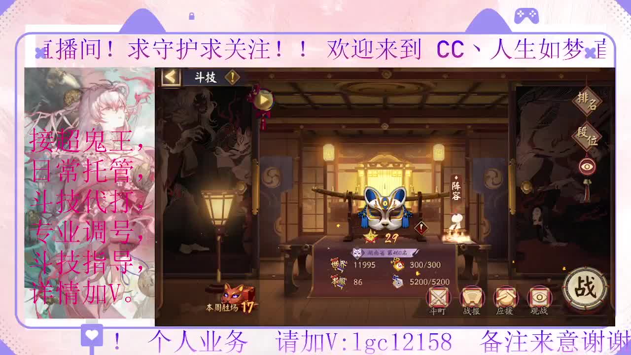 打打斗技、接调号斗技托管 第3段