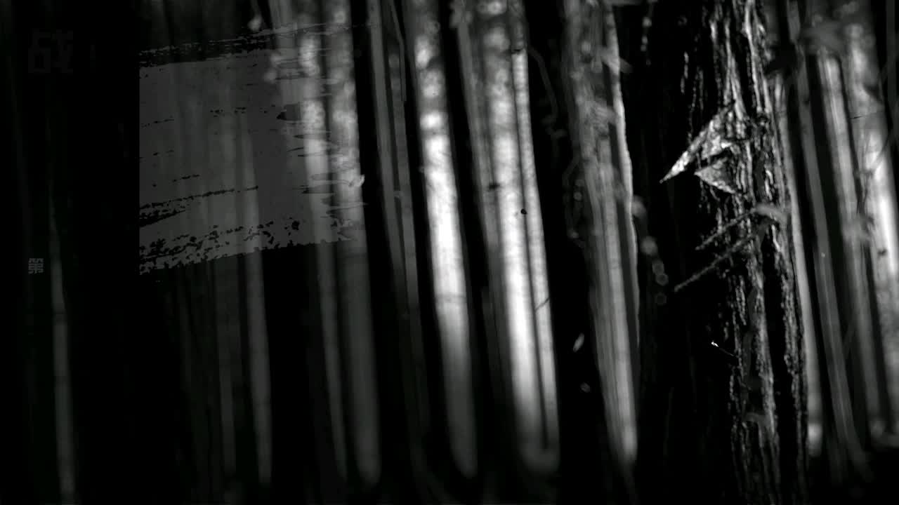 【永劫无间联赛】WBG战队第一视角 第6段