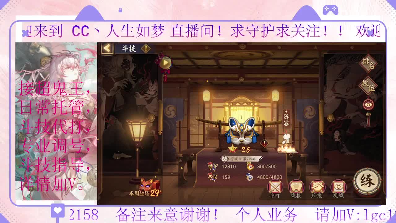 打打斗技、接调号斗技托管 第1段