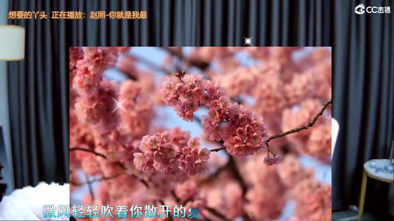 古风韵味场