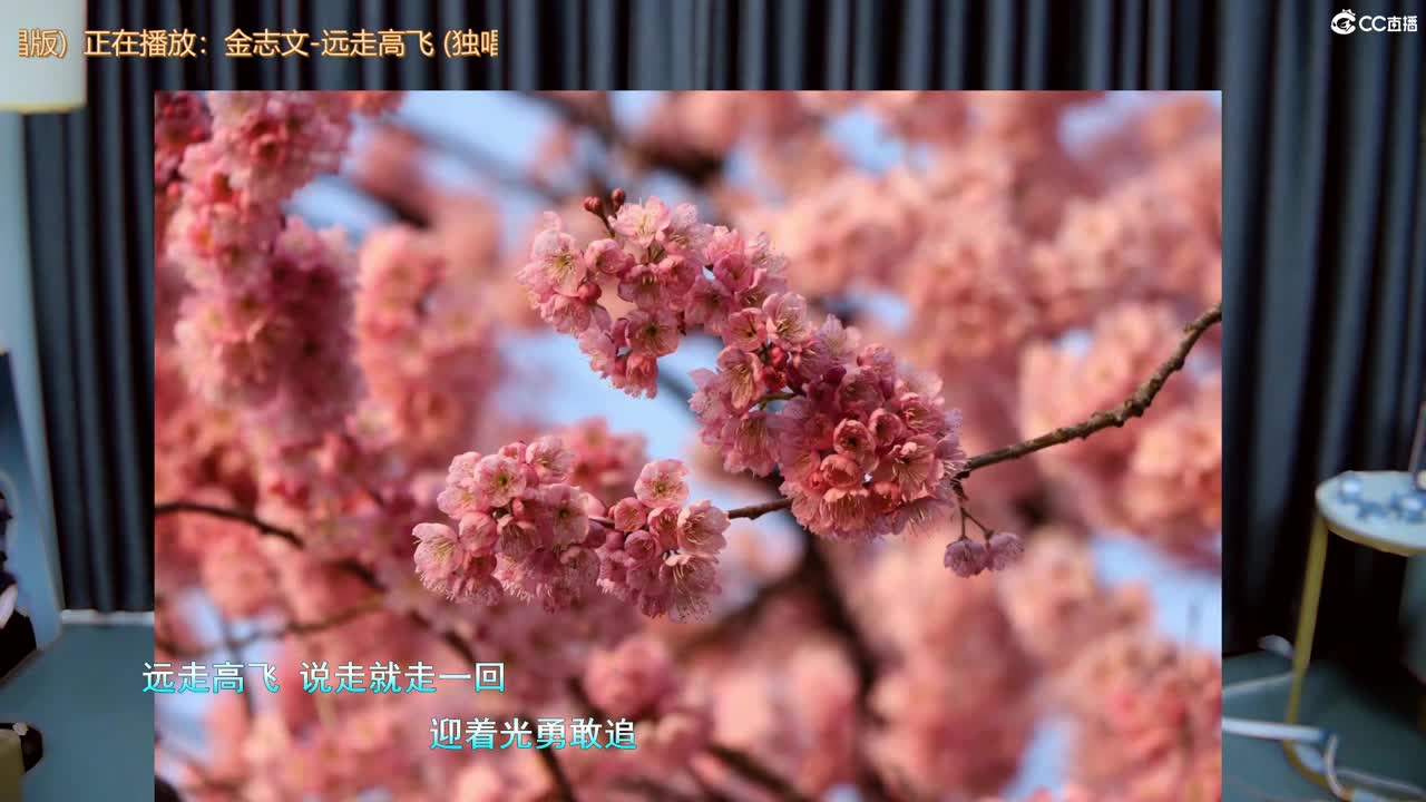古风韵味场 第2段
