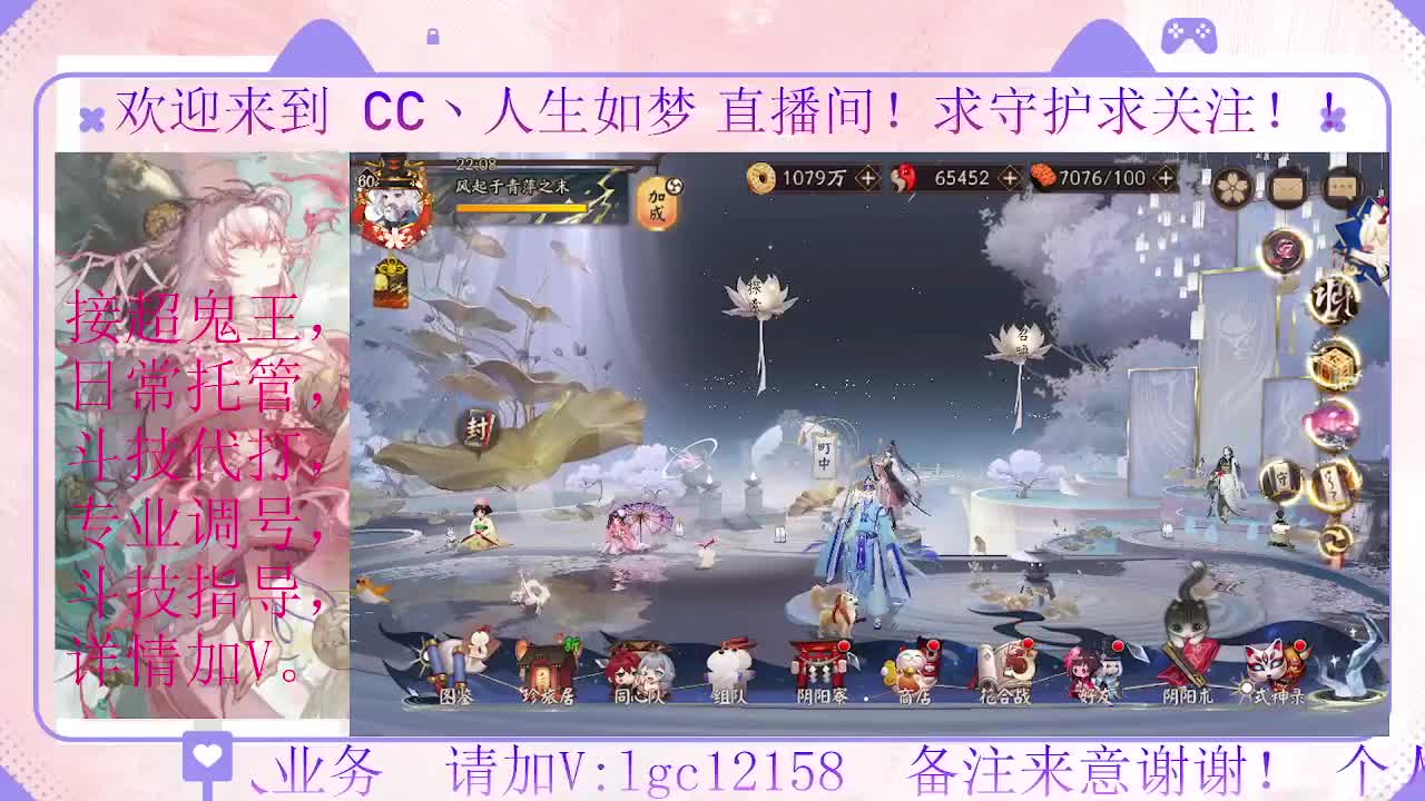 打打斗技、接调号斗技托管 第5段