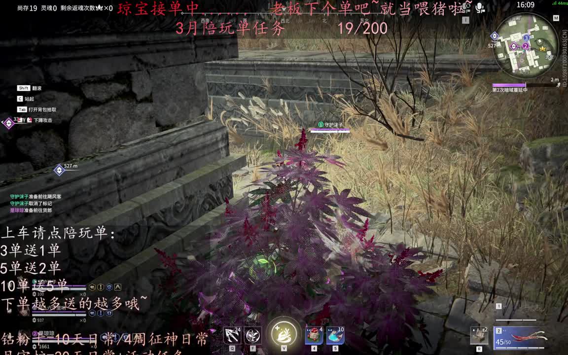 老板来下个单吖~征神排位都可~ 第9段