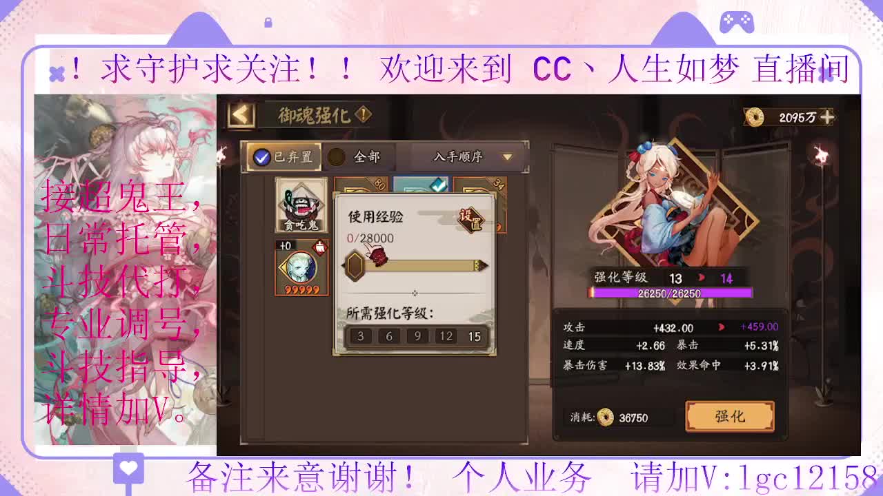 打打斗技、接调号斗技托管 第11段