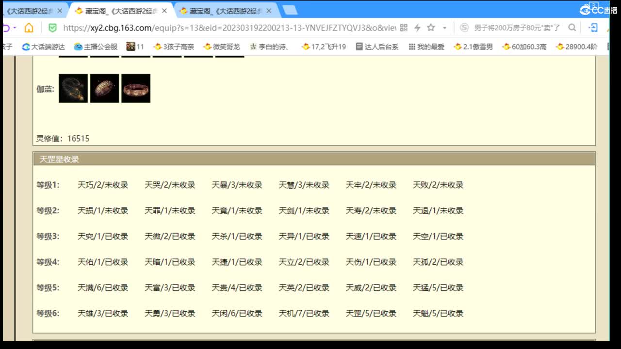 估价配装认真负责的主播 第2段