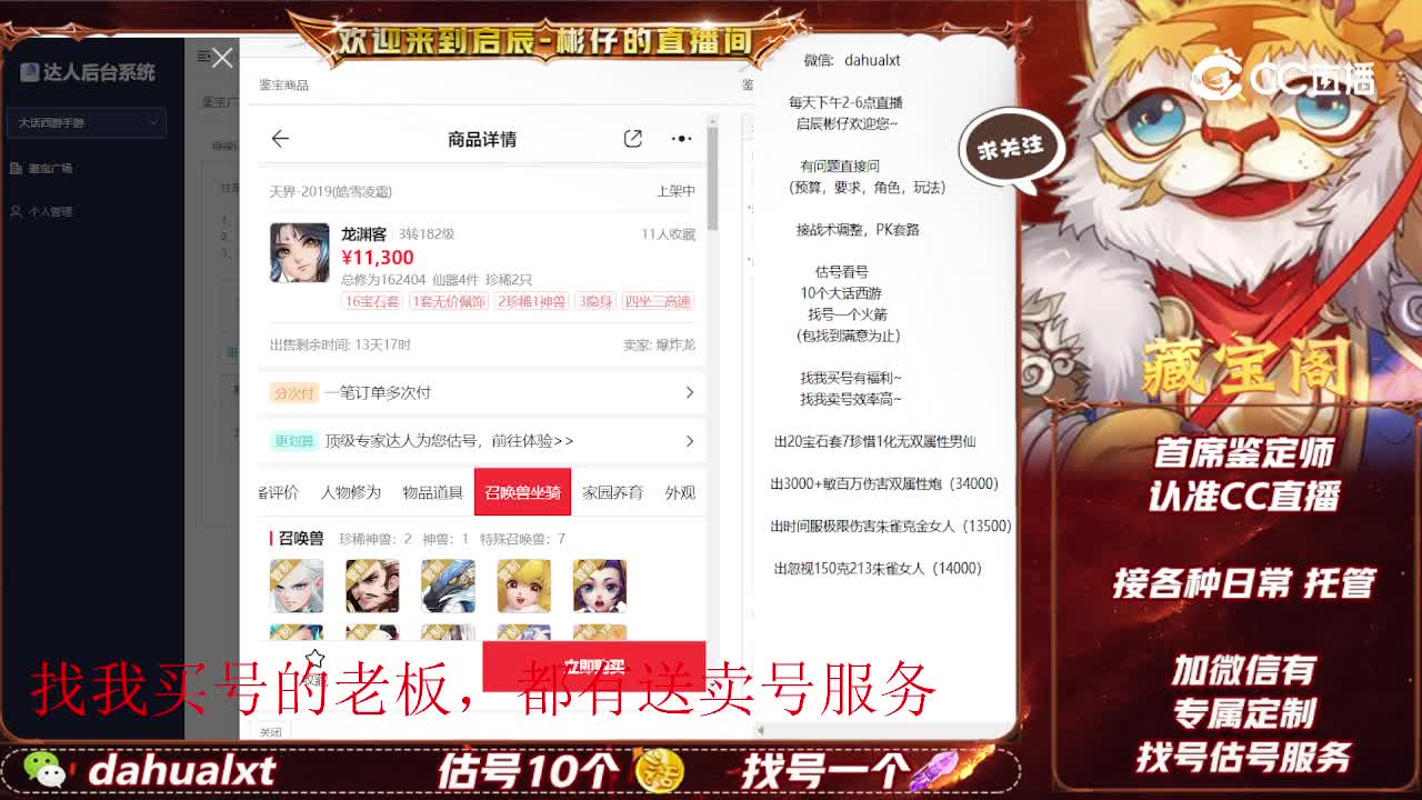 2019男龙