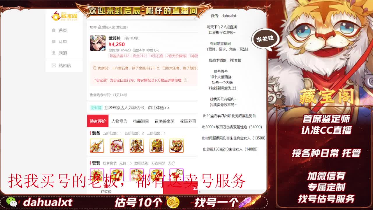 藏宝阁找号估号 第10段