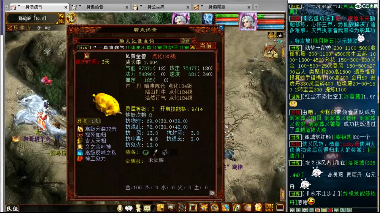 估价配装认真负责的主播 第4段